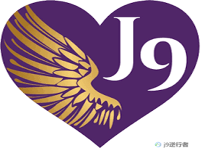 跨境落地案例 · 企业注册